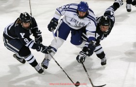 看球宝-意甲各球队年龄排名:队伍年轻化趋势及影响