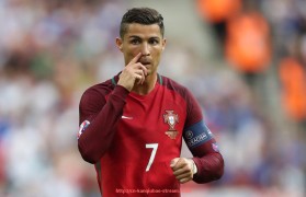 看球宝-适合女性球迷的德甲球队头像高清图推荐,风格多样选择丰富