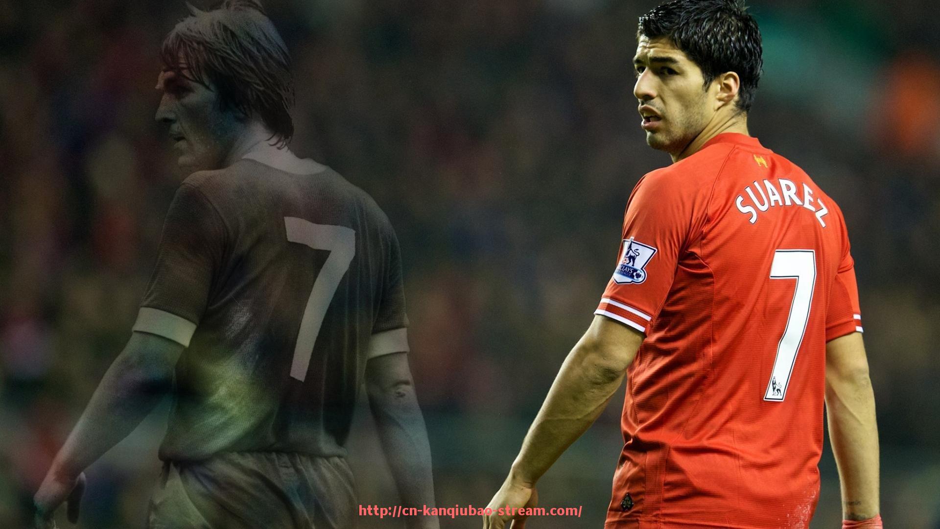 看球宝-健身器材中下压训练设备功能详解（体育力量器械）