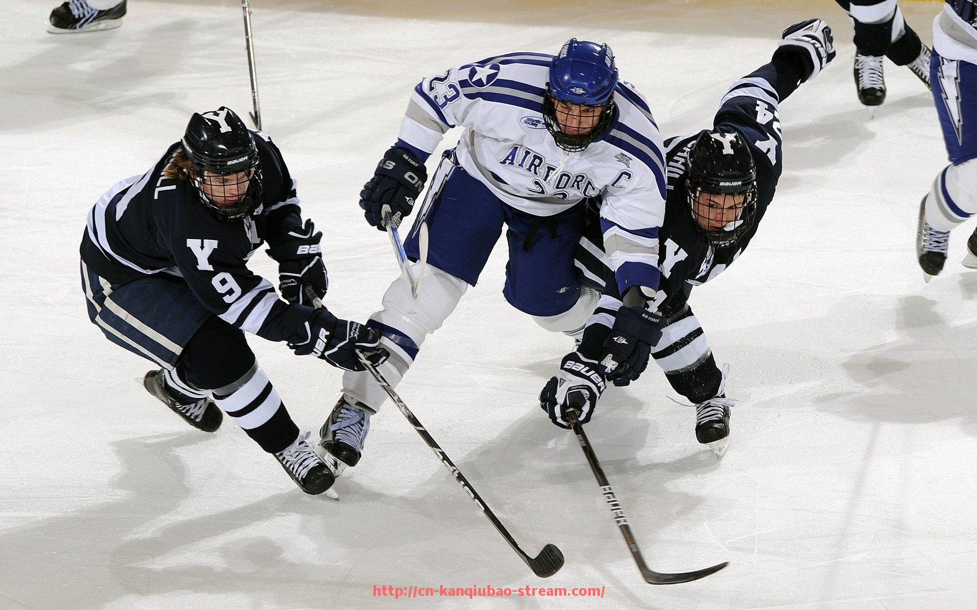 看球宝-广东省拥有的三支CBA球队及各自介绍